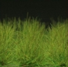 Grass Tufts XL - mid green