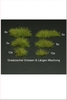 Grass Tufts, mix of different sizes & shapes - Mid Green