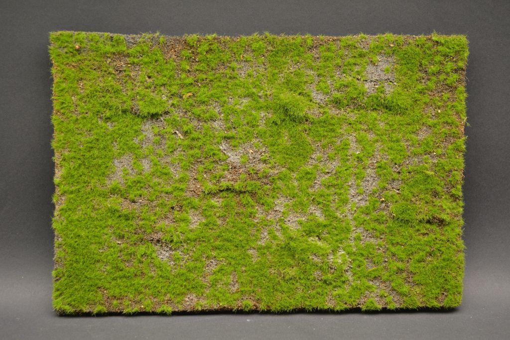 Reality In Scale Wild Grass & Hills Type 3 Dark Brown Earth Light Green #MAT09 