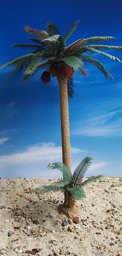 TPV-085 APPROX 16 CM RAIN FOREST PALM TREE MODEL 1/35 SCALE 